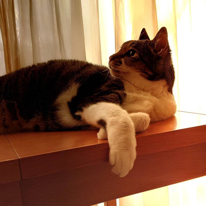 C2a34f44 e6b8 498d 83d9 69144a2d2160 1724193379460