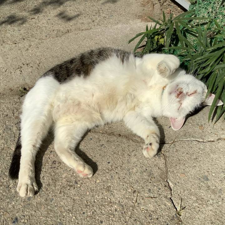 C2a35856 83d2 48ed b97b a8de974d4277 1604398250791