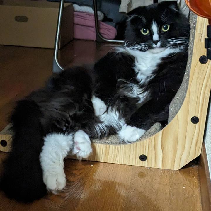 C2a36b47 aeee 4ec1 b10e e7673a909052 1713356026160