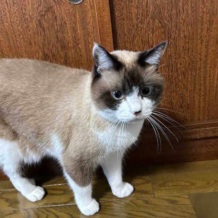 C2a39966 627f 4acd b2aa 59d77d3b26c1 1760480544627