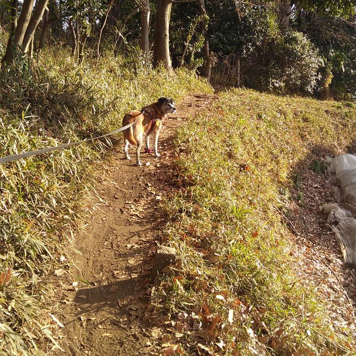 C2a39dc3 97d2 448f 8ac5 5114694e67d2 1547081025246