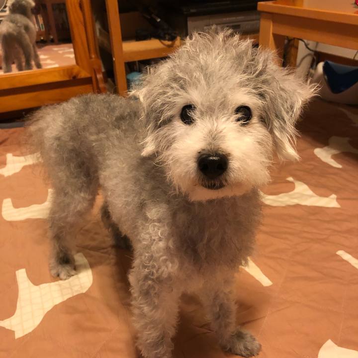 C2a3d059 8231 4aa2 be2a cad758486073 1594296140094