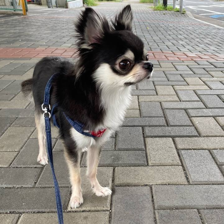 C2a421eb 6285 4284 85eb 331ca4795753 1631712589969