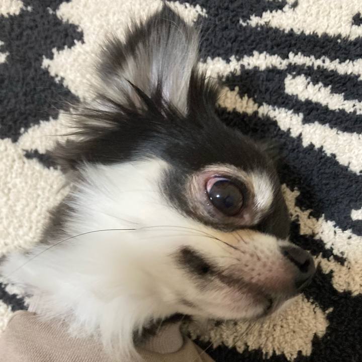 C2a4320e 0dba 4961 8ad2 a01ac67ccd33 1638107493709