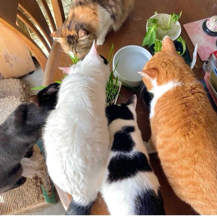 C2a4336f b8ac 4cc8 848c 3c48fccaea32 1737188143422