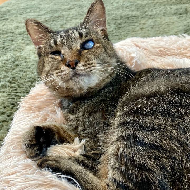 C2a44683 9719 492f 9c1f 3db89d80d6ae 1685008697449