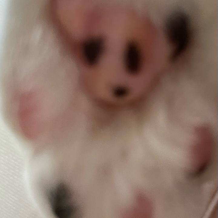 C2a46cee 1e29 44d0 9ef3 01815921611f 1688851163801