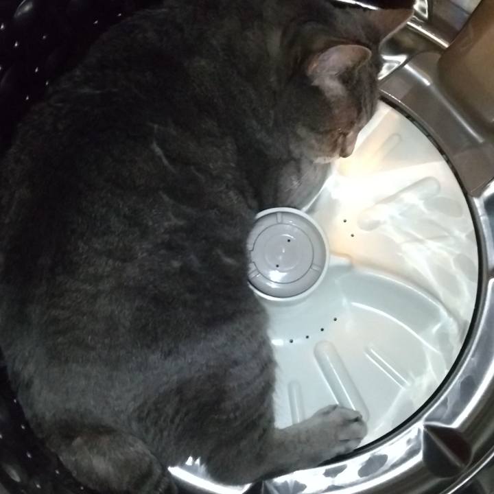 C2a594b1 3753 4d2e 9481 659fccef4c71 1628506142371