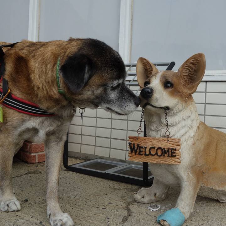 C2a5a90f 0aaa 4c66 adaa eed844f8c9ce 1538788267172