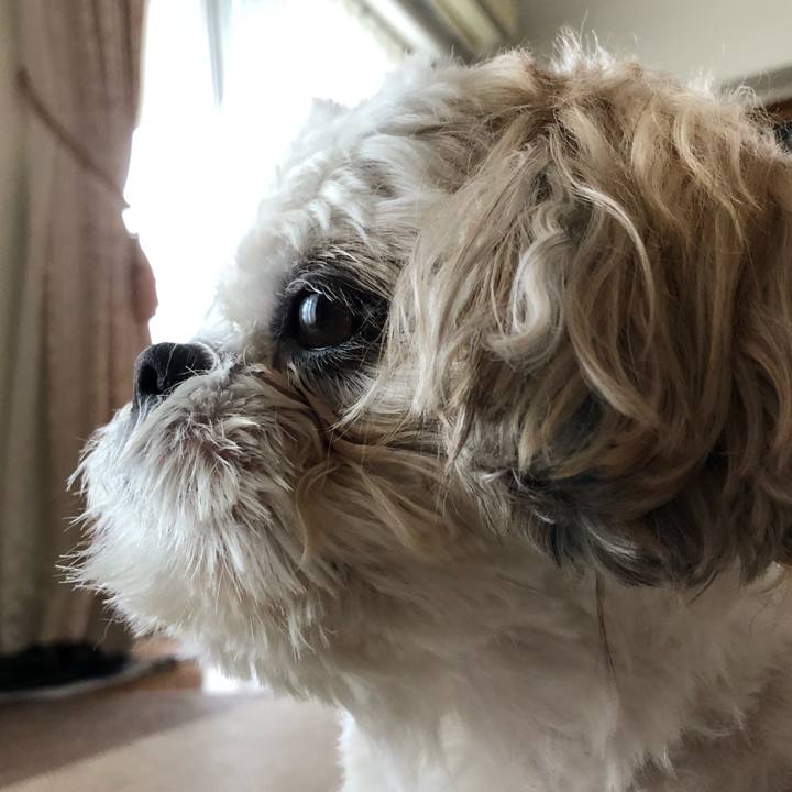 C2a5beed d3b4 49bd bbca 8be962a5a3a9 1536098291729