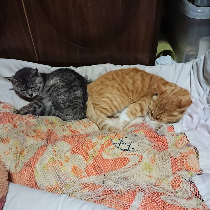 C2a5c742 64df 46d3 b239 c8c9396cf608 1591275695070