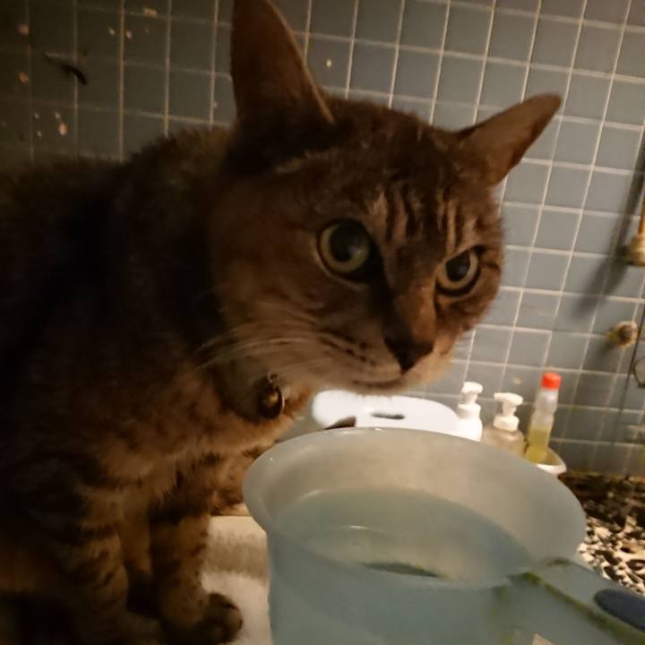 C2a6280c 2208 49f0 bfe3 7794f72d789e 1569923143385