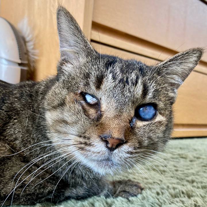 C2a66c14 c187 4a5c 8a8d b96ca45947c0 1684634437045