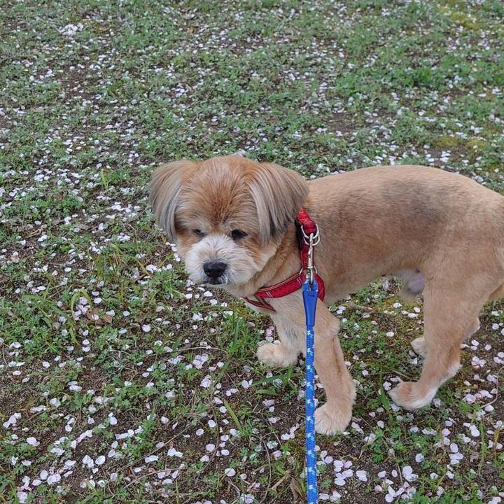 C2a67a07 3742 43b5 b693 c5b9b7cafa5c 1680130725482