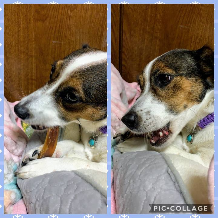 C2a68781 41c4 40fa a40c 50210796eb04 1576576604992