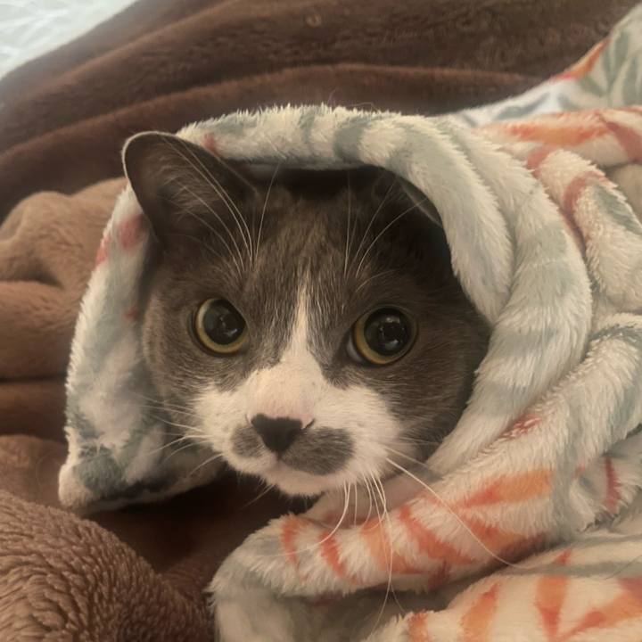 C2a69415 6a1e 4006 a9cb d52f4e6087fd 1734302294707