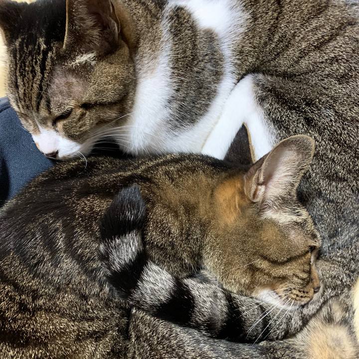 C2a69689 8bc3 4151 87fd 7e1128483416 1545529070628