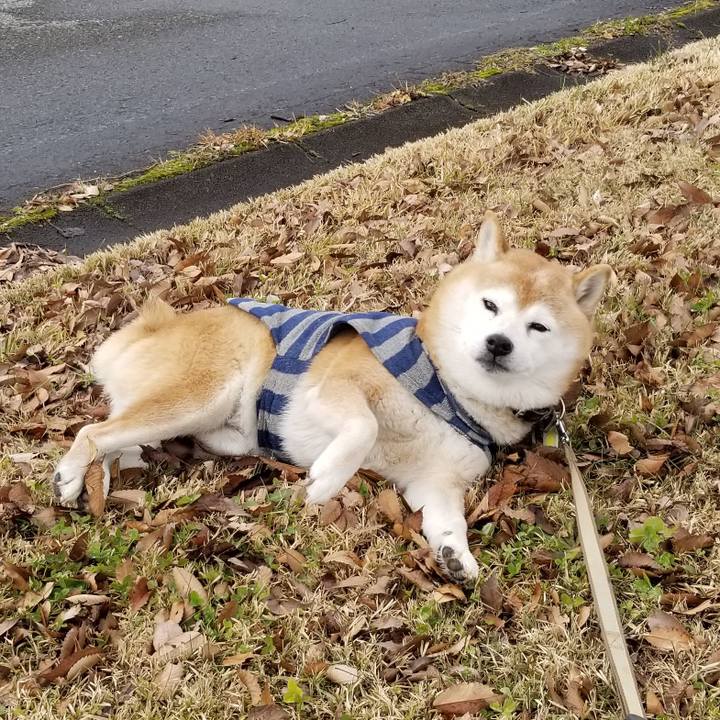 C2a6a55b 25fb 4b6e a4a5 8f7b1e790f8b 1670995947952