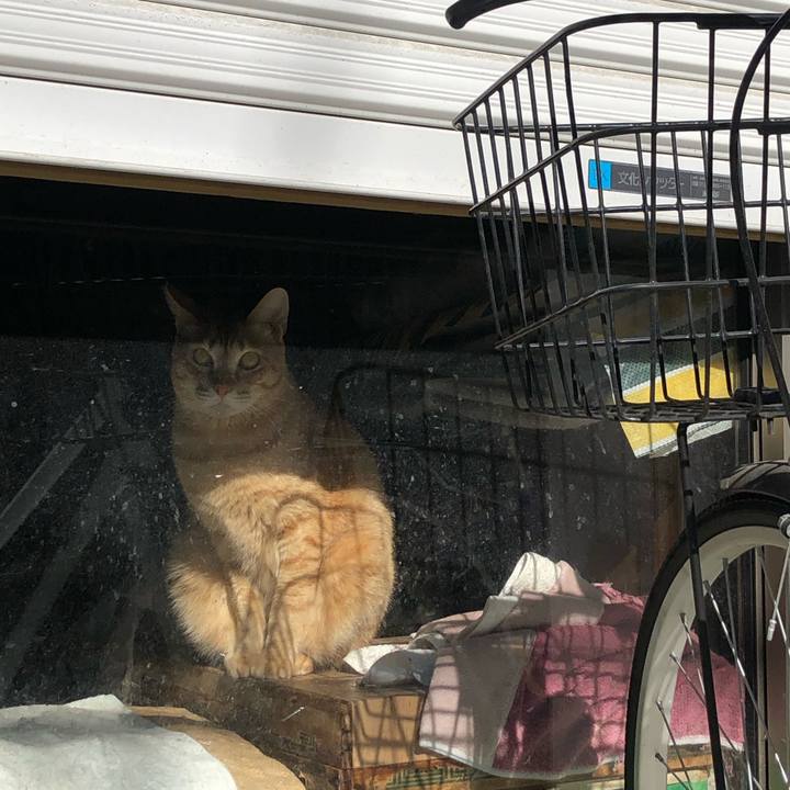 C2a6caec dc6e 416a b17d 61bc1d395ebd 1610463785734