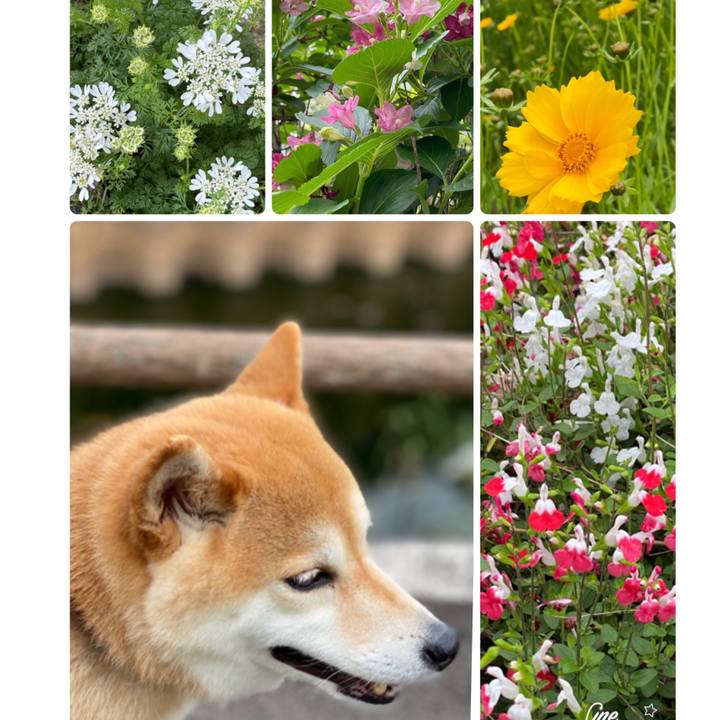 C2a6d771 b7e1 4e36 b52d 50938e9e69ba 1589688206386