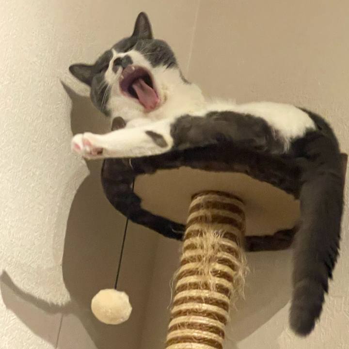 C2a6d8e5 e88c 43da a3e1 0f7f76f39a10 1719754276349