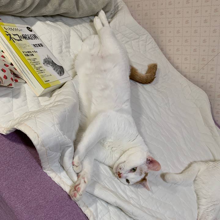 C2a73fbd 0dce 4f1c b278 a80c51ff8dd2 1647864327860