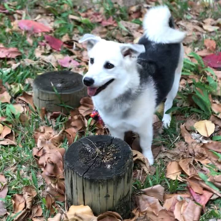 C2a768d2 146f 47f8 8e34 4117242163f7 1581293618073