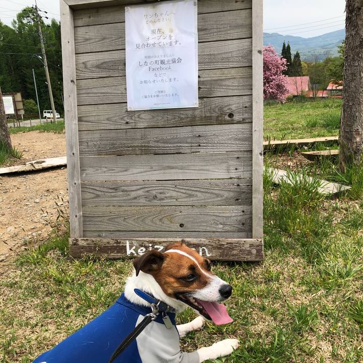 C2a78b82 cfd8 4483 b5ea 5c537d8d1008 1589515083838