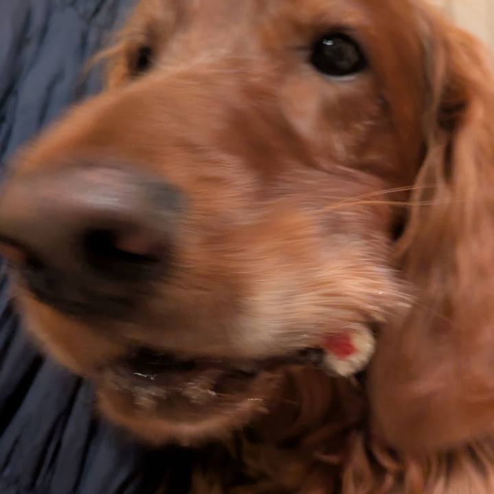 C2a7e47d b0d8 40a0 81f1 418ca1a2f71e 1769769898236