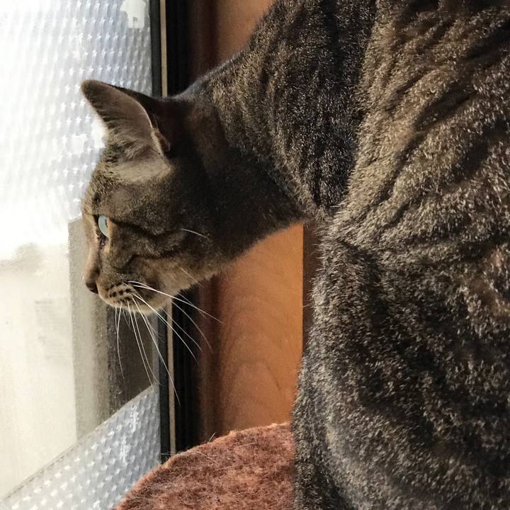 C2a80fdd a4cc 4925 aae5 e459d577c044 1530928809552