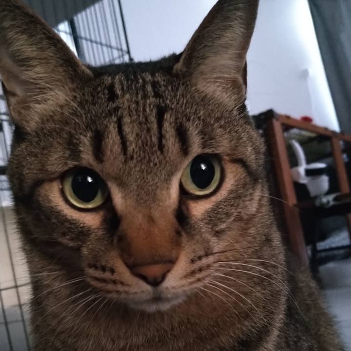 C2a84b26 d62f 4c34 960f 77bcc2b1ade9 1637967334422