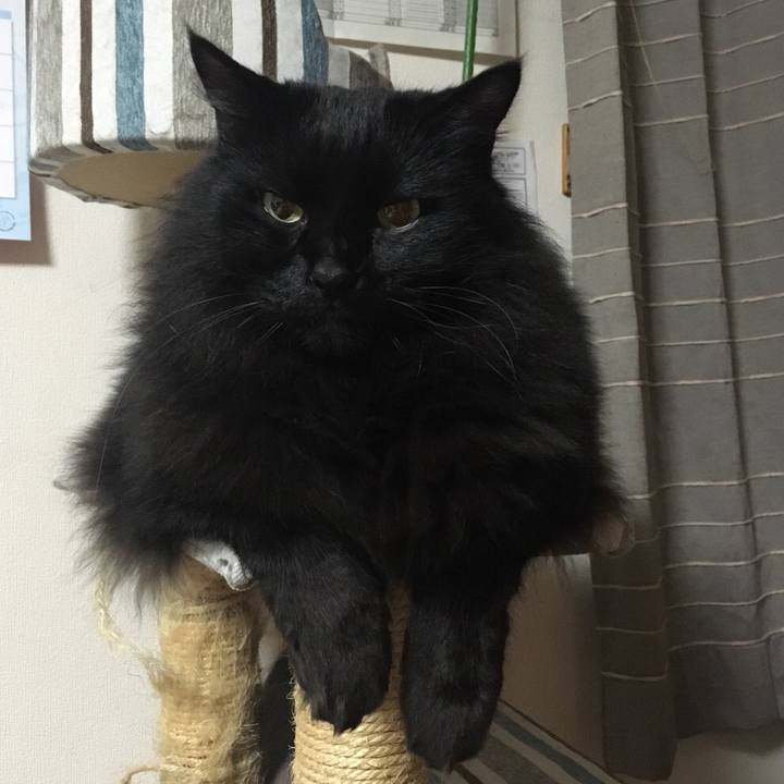 C2a8749f 99ed 42f4 a947 023b5e4c0c67 1543946048920