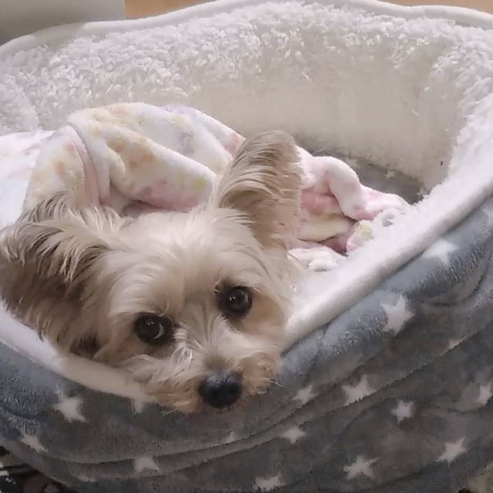 C2a8813c 8855 40bf acd0 7a59c143ff35 1700912623788