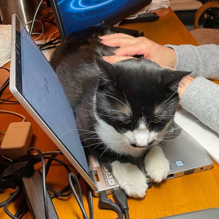 C2a8818f cf52 408f ae14 5a11f8739e94 1650286996510