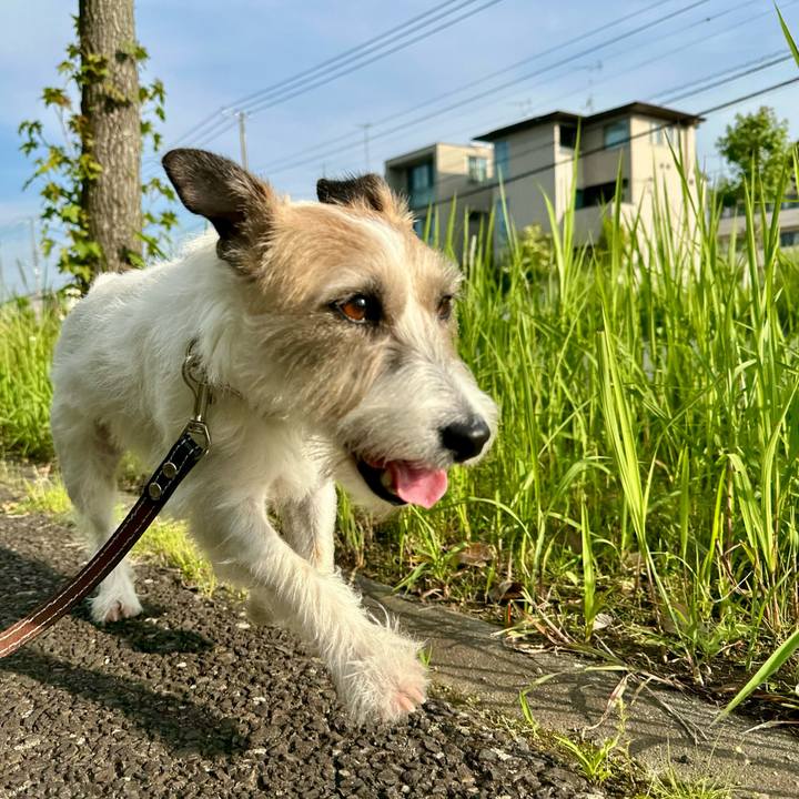 C2a8a0a3 c5d7 40c4 ac99 ed25fb153b1e 1749180611125