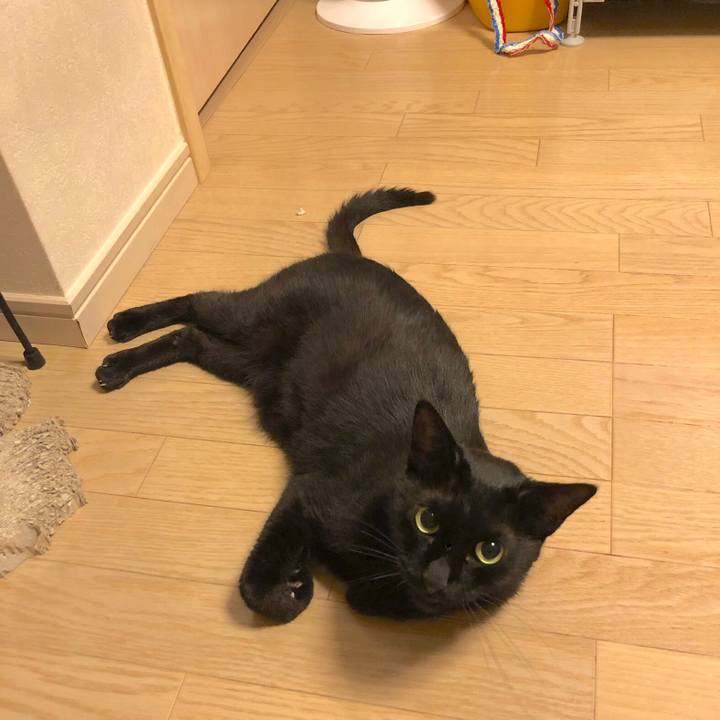 C2a8bae0 3e81 4f4a aa4d cd81fed86c7a 1561554335174