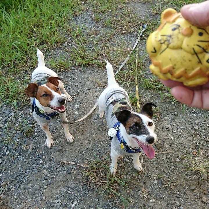 C2a91b25 4a86 470f 8cfb 28a1cac80ce8 1565039995594