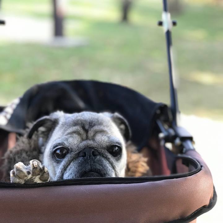 C2a9432b 0350 45ab ab63 cbd4fab40bbc 1606867465491