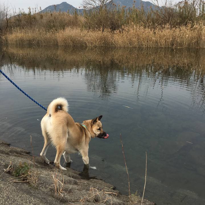 C2a94417 b142 4ae3 89d7 af2da41291a0 1514012746926