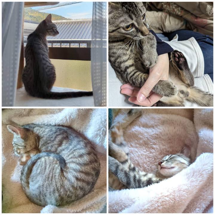 C2a9ae16 0b9f 4bce a968 1b6feca2481b 1704427376729