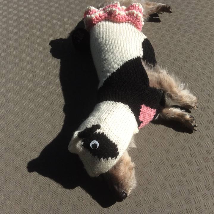 C2a9cc69 e1bb 4856 bca0 257dbfbb26da 1509676695632