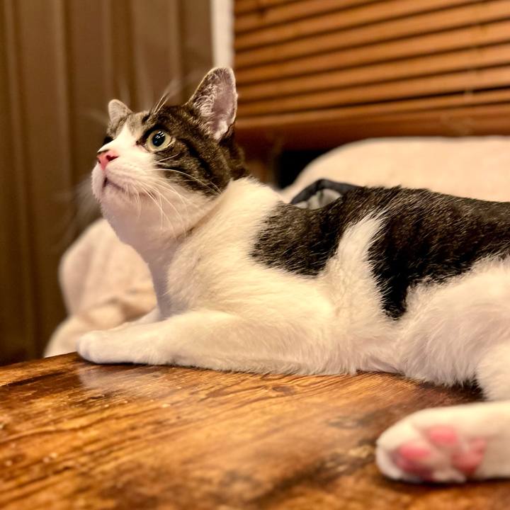 C2a9d1dc 9376 4499 9862 442426a07949 1764674848610