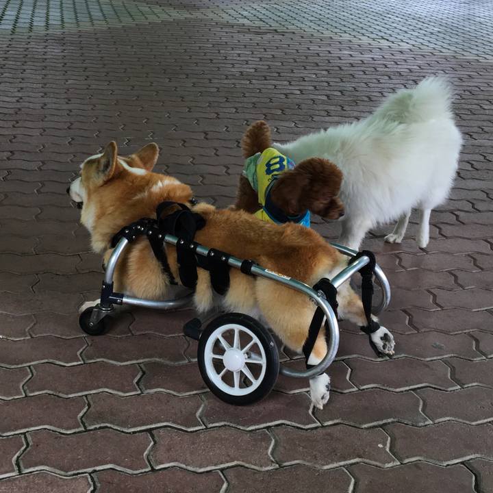 C2a9e07d 6614 4f8e ac1a f0842b33b1a7 1559047990782