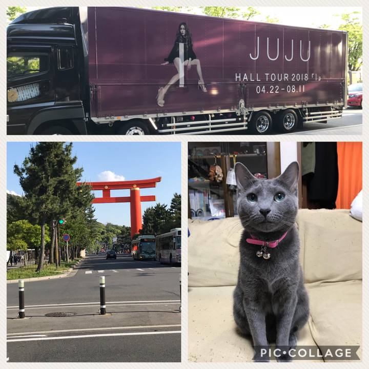 C2aa10a8 cdce 4775 963e 373c1232c459 1525943332625