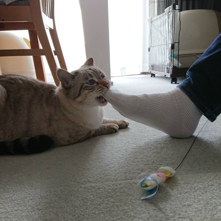 C2aa154e f371 4546 aec4 42b63cd9bac5 1567306098471