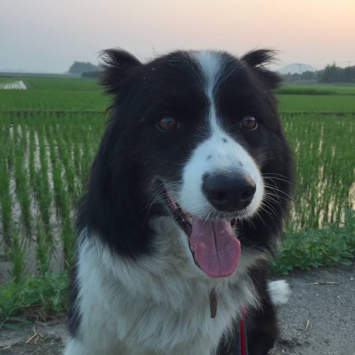 C2aa2bc6 db82 4127 9963 1156df3fa5cf 1531946717471