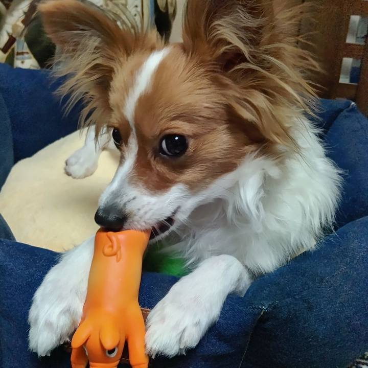 C2aa32ec 9f89 465d a7d8 238984a3741c 1609848693113