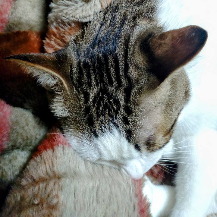 C2aa4770 d625 4f94 89e1 c1ee65677b8f 1710669700813