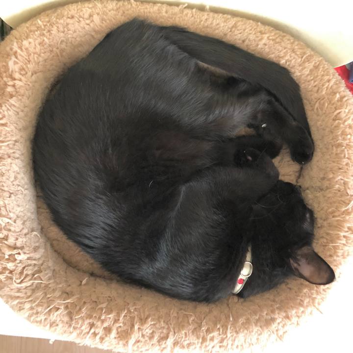 C2aa77de 3f13 4e2a 90c1 bdd25237964e 1598147880098