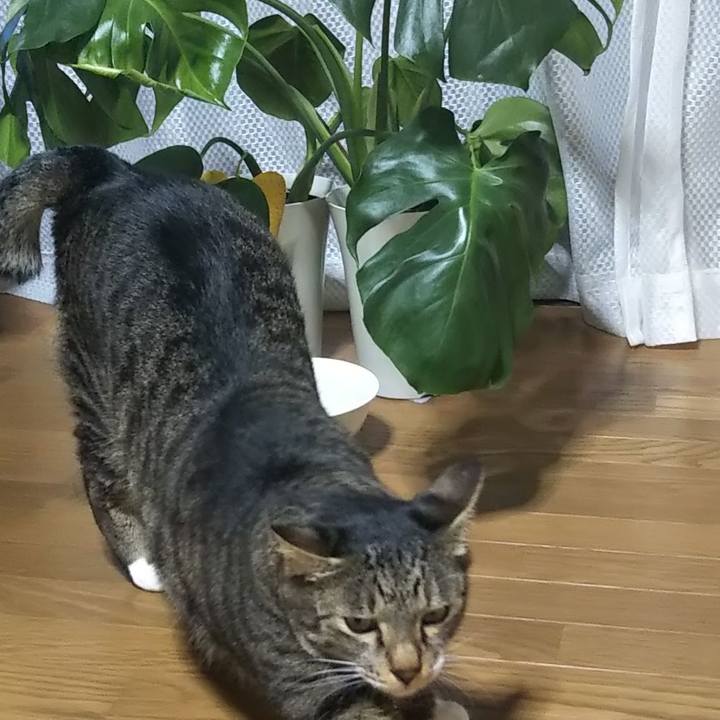 C2aacb43 bc38 40e8 b6db 09c877b7167d 1602676487570